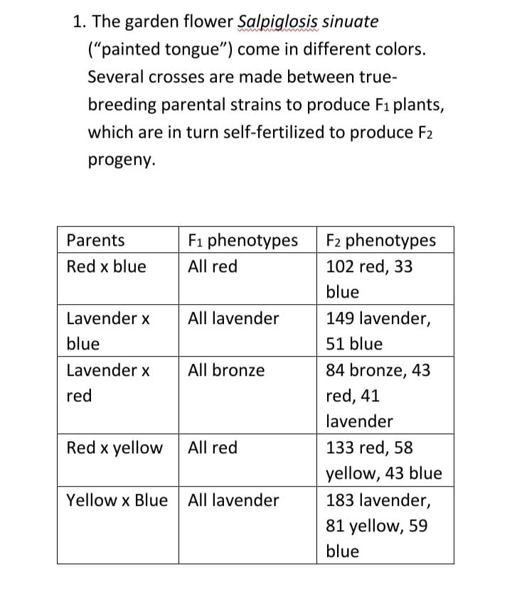 1. The garden flower Salpiglosis sinuate
("painted tongue") come in different colors.
Several crosses are made between true-
breeding parental strains to produce F₁ plants,
which are in turn self-fertilized to produce F2
progeny.
Parents
Red x blue
Lavender x
blue
Lavender x
red
F₁ phenotypes
All red
All lavender
All bronze
Red x yellow All red
Yellow x Blue All lavender
F2 phenotypes
102 red, 33
blue
149 lavender,
51 blue
84 bronze, 43
red, 41
lavender
133 red, 58
yellow, 43 blue
183 lavender,
81 yellow, 59
blue