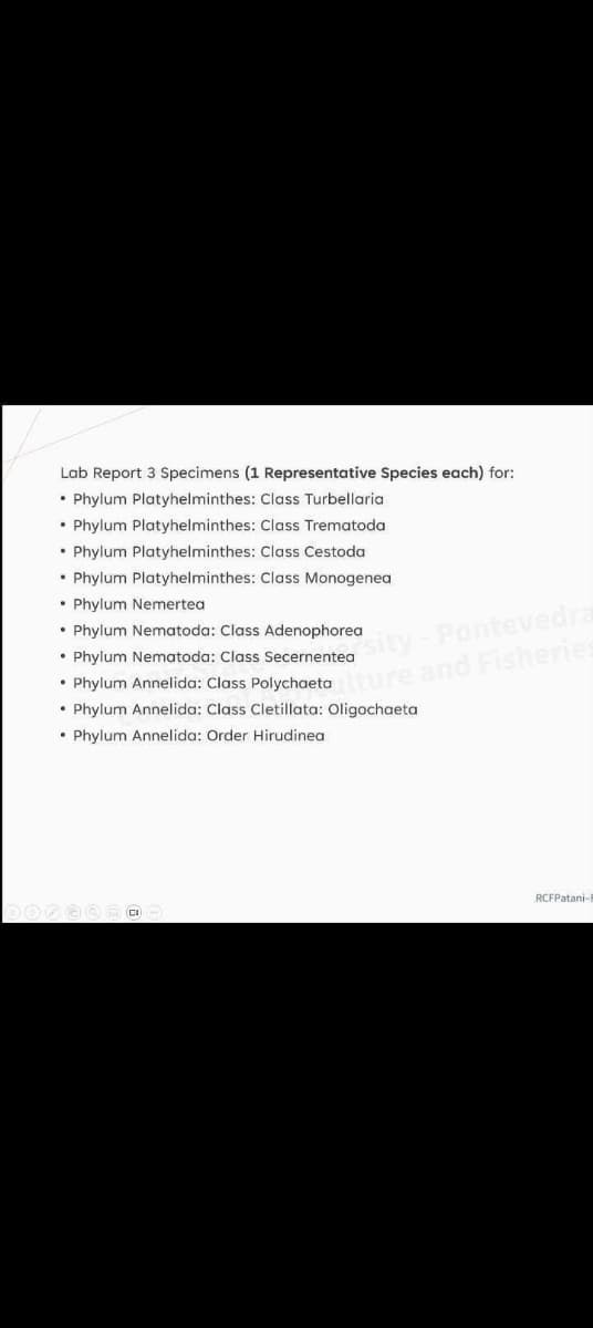 Lab Report 3 Specimens (1 Representative Species each) for:
• Phylum Platyhelminthes: Class Turbellaria
• Phylum Platyhelminthes: Class Trematoda
• Phylum Platyhelminthes: Class Cestoda
Phylum Platyhelminthes: Class Monogenea
• Phylum Nemertea
⚫ Phylum Nematoda: Class Adenophorea
Phylum Nematoda: Class Secernentea
• Phylum Annelida: Class Polychaeta
sity-Pontevedra
and Fisherie
• Phylum Annelida: Class Cletillata: Oligochaeta
• Phylum Annelida: Order Hirudinea
RCFPatani-
