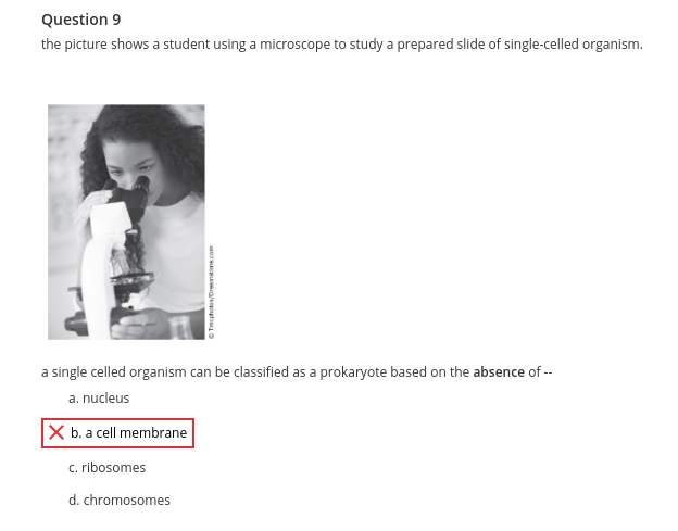 Question 9
the picture shows a student using a microscope to study a prepared slide of single-celled organism.
/
a single celled organism can be classified as a prokaryote based on the absence of --
a. nucleus
X b. a cell membrane
c. ribosomes
d. chromosomes