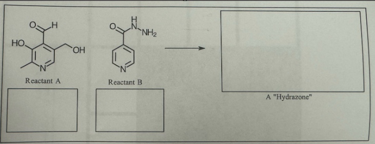 HO.
OH
NH2
Reactant A
Reactant B
A "Hydrazone"