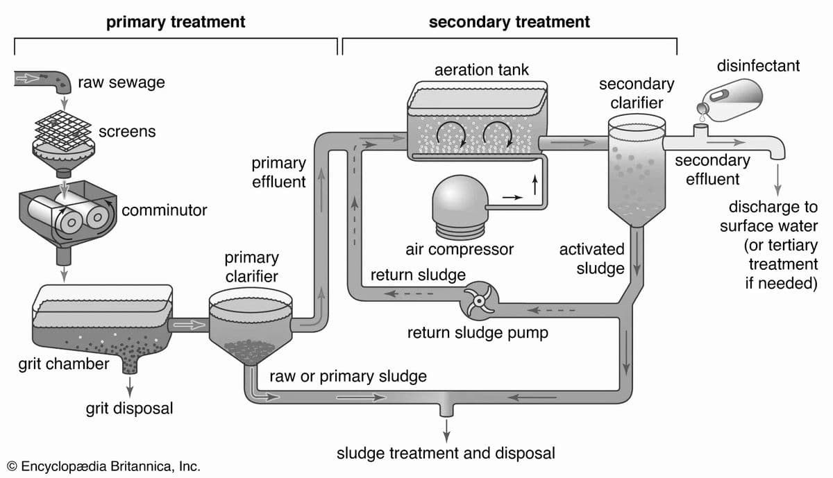 primary treatment
secondary treatment
aeration tank
disinfectant
secondary
clarifier
raw sewage
screens
primary
effluent
secondary
effluent
discharge to
surface water
comminutor
air compressor
activated
(or tertiary
primary
clarifier
treatment
return sludge
sludge
if needed)
return sludge pump
grit chamber
raw or primary sludge
grit disposal
sludge treatment and disposal
© Encyclopædia Britannica, Inc.
