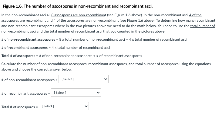 Figure 1.6. The number of ascospores in non-recombinant and recombinant asci.
In the non-recombinant asci all 8 ascospores are non-recombinant (see Figure 1.6 above). In the non-recombinant asci 4 of the
ascospores are recombinant and 4 of the ascospores are non-recombinant (see Figure 1.6 above). To determine how many recombinant
and non-recombinant ascospores where in the two pictures above we need to do the math below. You need to use the total number of
non-recombinant asci and the total number of recombinant asci that you counted in the pictures above.
# of non-recombinant ascospores = 8 x total number of non-recombinant asci + 4 x total number of recombinant asci
# of recombinant ascospores = 4 x total number of recombinant asci
Total # of ascospores = # of non-recombinant ascospores + # of recombinant ascospores
Calculate the number of non-recombinant ascospores, recombinant ascospores, and total number of ascospores using the equations
above and choose the correct answer below.
# of non-recombinant ascospores = [Select]
# of recombinant ascospores [Select]
Total # of ascospores - [Select]