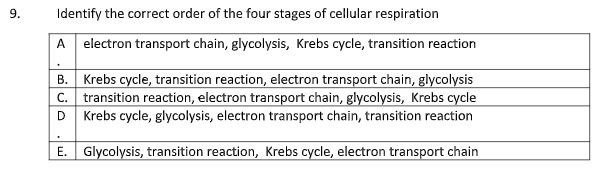 9.
Identify the correct order of the four stages of cellular respiration
A electron transport chain, glycolysis, Krebs cycle, transition reaction
B. Krebs cycle, transition reaction, electron transport chain, glycolysis
C. transition reaction, electron transport chain, glycolysis, Krebs cycle
D Krebs cycle, glycolysis, electron transport chain, transition reaction
E.
Glycolysis, transition reaction, Krebs cycle, electron transport chain