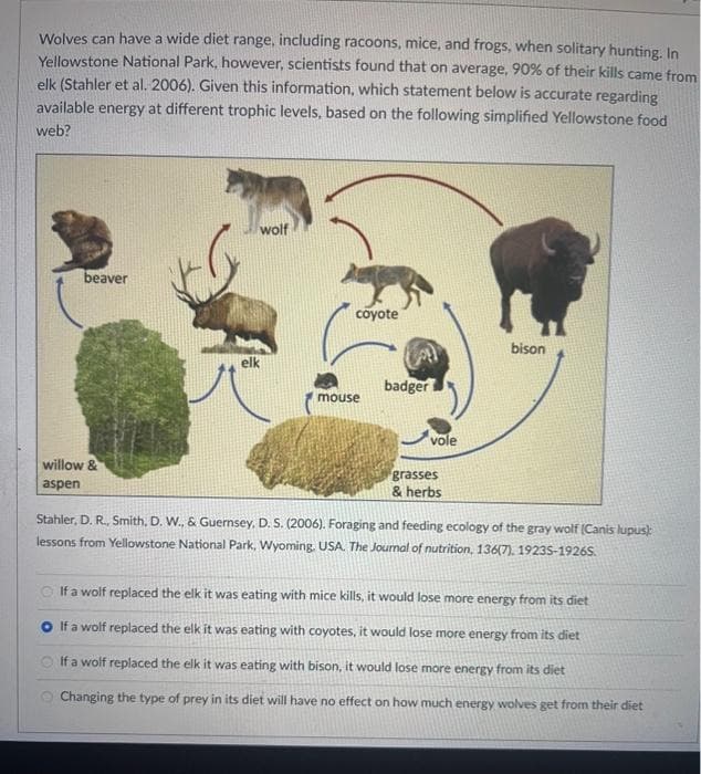 Wolves can have a wide diet range, including racoons, mice, and frogs, when solitary hunting. In
Yellowstone National Park, however, scientists found that on average, 90% of their kills came from
elk (Stahler et al. 2006). Given this information, which statement below is accurate regarding
available energy at different trophic levels, based on the following simplified Yellowstone food
web?
beaver
willow &
aspen
wolf
elk
coyote
mouse
badger
vole
grasses
& herbs
bison
Stahler, D. R., Smith, D. W., & Guernsey, D.S. (2006). Foraging and feeding ecology of the gray wolf (Canis lupus):
lessons from Yellowstone National Park, Wyoming. USA. The Journal of nutrition, 136(7), 19235-1926S.
If a wolf replaced the elk it was eating with mice kills, it would lose more energy from its diet
O If a wolf replaced the elk it was eating with coyotes, it would lose more energy from its diet
If a wolf replaced the elk it was eating with bison, it would lose more energy from its diet
Changing the type of prey in its diet will have no effect on how much energy wolves get from their diet