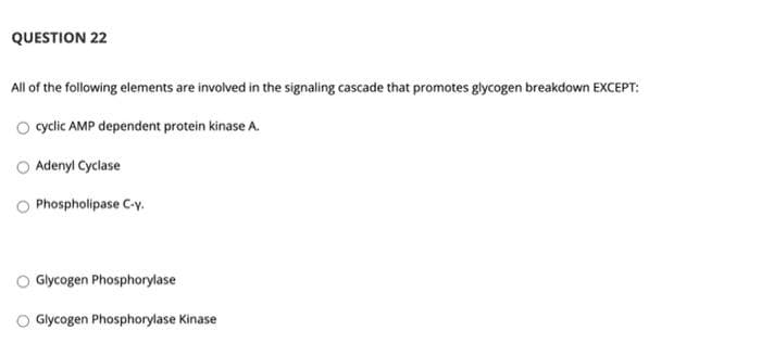 QUESTION 22
All of the following elements are involved in the signaling cascade that promotes glycogen breakdown EXCEPT:
O ylic AMP dependent protein kinase A.
Adenyl Cyclase
Phospholipase C-y.
Glycogen Phosphorylase
Glycogen Phosphorylase Kinase
