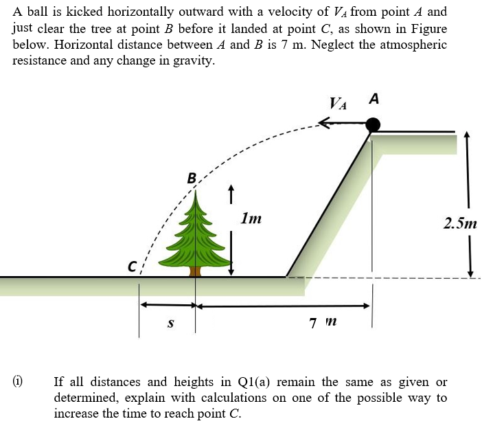 A ball is kicked horizontally outward with a velocity of Va from point A and
just clear the tree at point B before it landed at point C, as shown in Figure
below. Horizontal distance between A and B is 7 m. Neglect the atmospheric
resistance and any change in gravity.
VA
A
1m
2.5m
7 m
(1)
If all distances and heights in Q1(a) remain the same as given or
determined, explain with calculations on one of the possible way to
increase the time to reach point C.
ら

