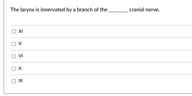 The larynx is innervated by a branch of the
cranial nerve.
OXI
O IX
