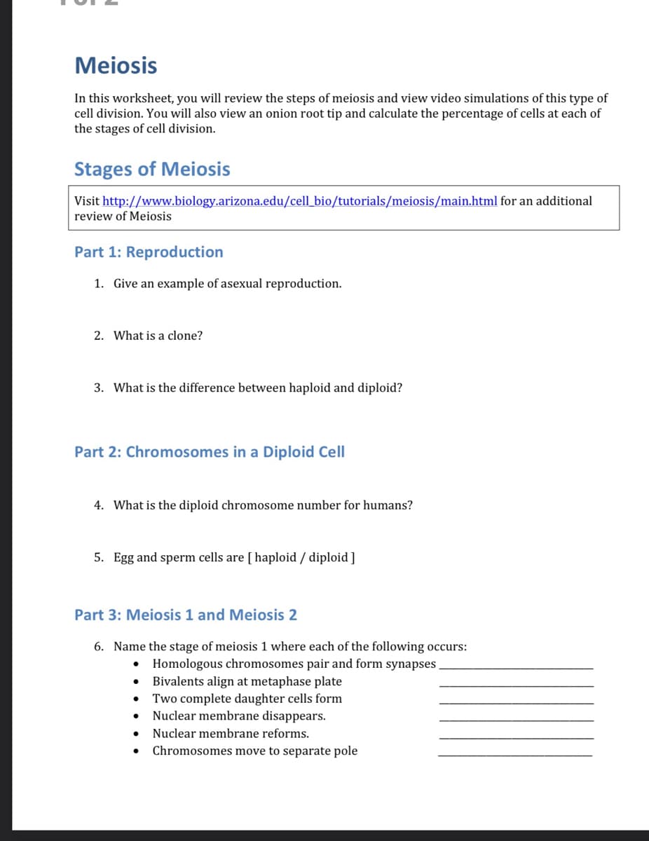 Meiosis
In this worksheet, you will review the steps of meiosis and view video simulations of this type of
cell division. You will also view an onion root tip and calculate the percentage of cells at each of
the stages of cell division.
Stages of Meiosis
Visit http://www.biology.arizona.edu/cell_bio/tutorials/meiosis/main.html for an additional
review of Meiosis
Part 1: Reproduction
1. Give an example of asexual reproduction.
2. What is a clone?
3. What is the difference between haploid and diploid?
Part 2: Chromosomes in a Diploid Cell
4. What is the diploid chromosome number for humans?
5. Egg and sperm cells are [haploid / diploid]
Part 3: Meiosis 1 and Meiosis 2
6. Name the stage of meiosis 1 where each of the following occurs:
● Homologous chromosomes pair and form synapses.
. Bivalents align at metaphase plate
●
Two complete daughter cells form
Nuclear membrane disappears.
Nuclear membrane reforms.
Chromosomes move to separate pole
●
●