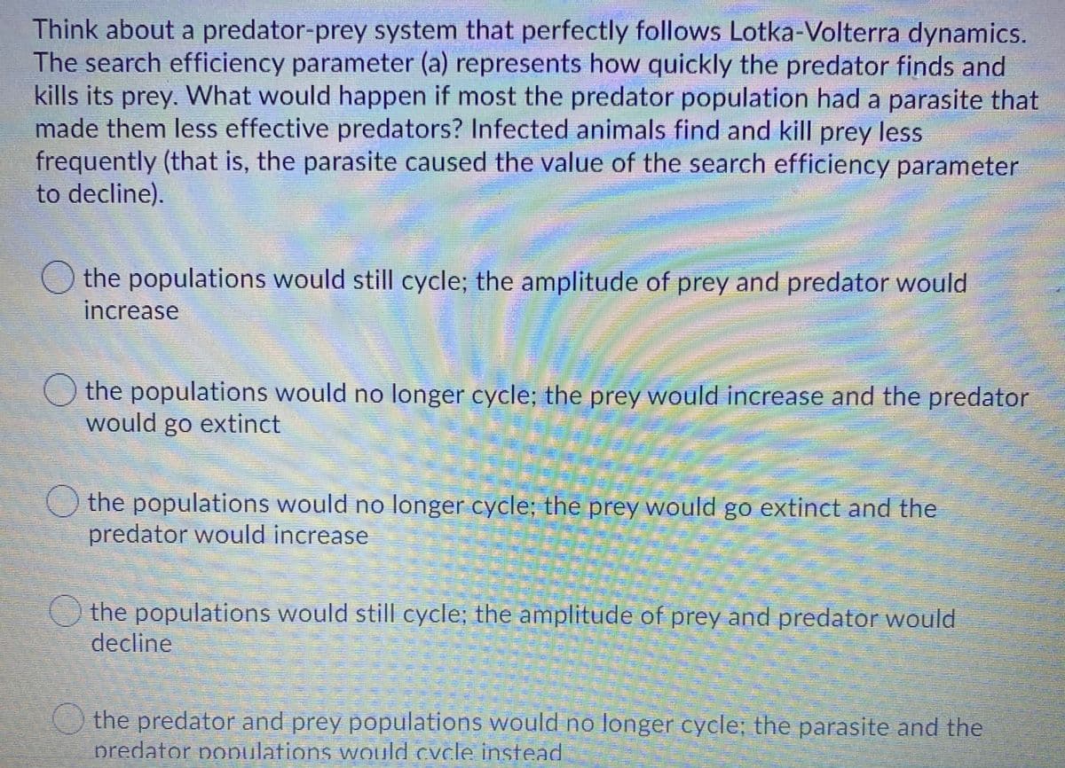 Think about a predator-prey system that perfectly follows Lotka-Volterra dynamics.
The search efficiency parameter (a) represents how quickly the predator finds and
kills its prey. What would happen if most the predator population had a parasite that
made them less effective predators? Infected animals find and kill prey less
frequently (that is, the parasite caused the value of the search efficiency parameter
to decline).
the populations would still cycle; the amplitude of prey and predator would
increase
Othe populations would no longer cycle; the prey would increase and the predator
would go extinct
the populations would no longer cycle; the prey would go extinct and the
predator would increase
the populations would still cycle; the amplitude of prey and predator would
decline
the predator and prey populations would no longer cycle; the parasite and the
predator populations would cycle instead
