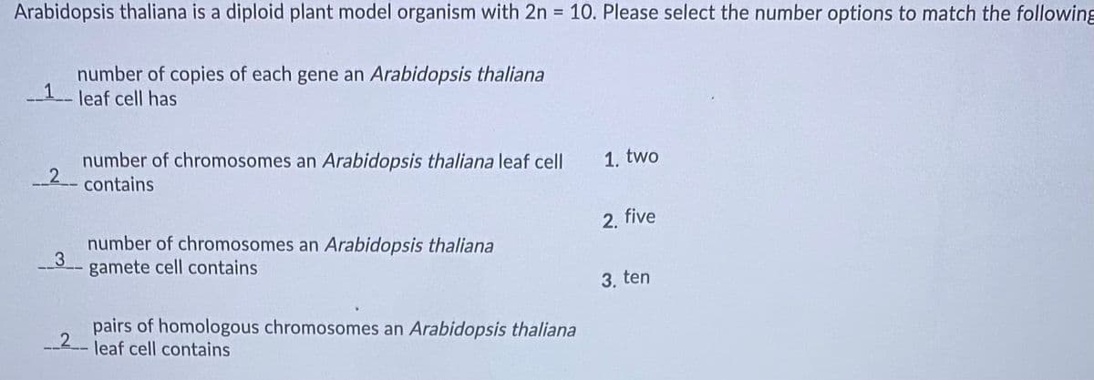 Arabidopsis thaliana is a diploid plant model organism with 2n 10. Please select the number options to match the following
number of copies of each gene an Arabidopsis thaliana
1 leaf cell has
number of chromosomes an Arabidopsis thaliana leaf cell
contains
1. two
2. five
number of chromosomes an Arabidopsis thaliana
gamete cell contains
3. ten
pairs of homologous chromosomes an Arabidopsis thaliana
2
leaf cell contains
