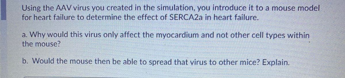 Using the AAV virus you created in the simulation, you introduce it to a mouse model
for heart failure to determine the effect of SERCA2A in heart failure.
a. Why would this virus only affect the myocardium and not other cell types within
the mouse?
b. Would the mouse then be able to spread that virus to other mice? Explain.
