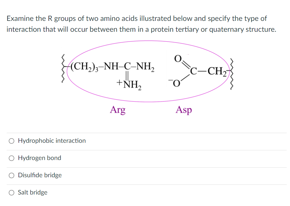 Examine the R groups of two amino acids illustrated below and specify the type of
interaction that will occur between them in a protein tertiary or quaternary structure.
OC-CH₂
(CH,),-NH-C-NH,
H-C-NH,
+NH₂
Asp
O Hydrophobic interaction
O Hydrogen bond
O Disulfide bridge
Salt bridge
Arg