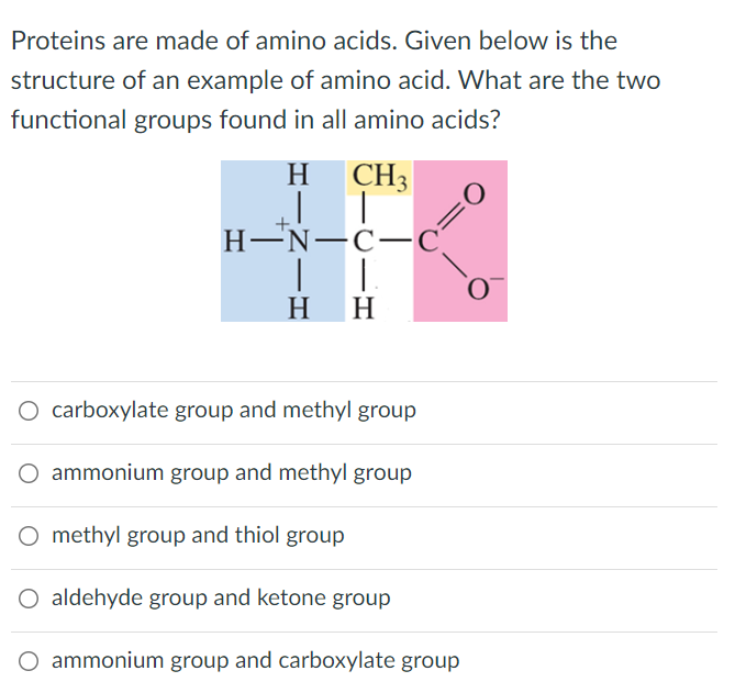 Proteins are made of amino acids. Given below is the
structure of an example of amino acid. What are the two
functional groups found in all amino acids?
H
CH3
|
T
+
H-N-C-C
T
H H
O carboxylate group and methyl group
O ammonium group and methyl group
O methyl group and thiol group
O aldehyde group and ketone group
O ammonium group and carboxylate group
O