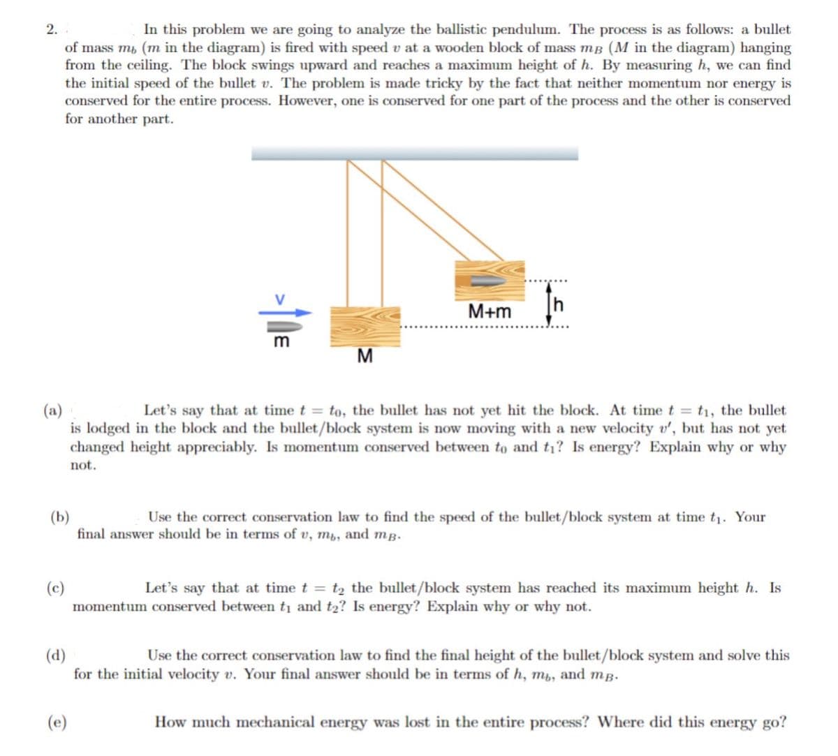 2.
In this problem we are going to analyze the ballistic pendulum. The process is as follows: a bullet
of mass me (m in the diagram) is fired with speed v at a wooden block of mass mB (M in the diagram) hanging
from the ceiling. The block swings upward and reaches a maximum height of h. By measuring h, we can find
the initial speed of the bullet v. The problem is made tricky by the fact that neither momentum nor energy is
conserved for the entire process. However, one is conserved for one part of the process and the other is conserved
for another part.
>↑DE
(c)
M
(a)
Let's say that at time t = to, the bullet has not yet hit the block. At time t = t₁, the bullet
is lodged in the block and the bullet/block system is now moving with a new velocity v', but has not yet
changed height appreciably. Is momentum conserved between to and ti? Is energy? Explain why or why
not.
M+m
(b)
Use the correct conservation law to find the speed of the bullet/block system at time t₁. Your
final answer should be in terms of v, mu, and mp.
(e)
Let's say that at time t = t₂ the bullet/block system has reached its maximum height h. Is
momentum conserved between t₁ and t₂? Is energy? Explain why or why not.
(d)
Use the correct conservation law to find the final height of the bullet/block system and solve this
for the initial velocity v. Your final answer should be in terms of h, mb, and mp.
How much mechanical energy was lost in the entire process? Where did this energy go?
