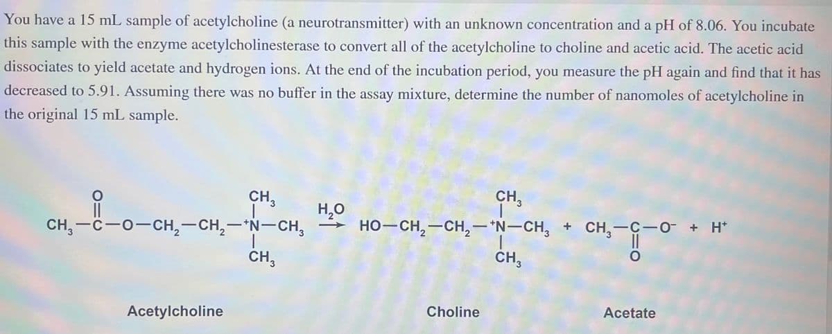 You have a 15 mL sample of acetylcholine (a neurotransmitter) with an unknown concentration and a pH of 8.06. You incubate
this sample with the enzyme acetylcholinesterase to convert all of the acetylcholine to choline and acetic acid. The acetic acid
dissociates to yield acetate and hydrogen ions. At the end of the incubation period, you measure the pH again and find that it has
decreased to 5.91. Assuming there was no buffer in the assay mixture, determine the number of nanomoles of acetylcholine in
the original 15 mL sample.
O=
CH3
Acetylcholine
H₂O
CH,—C−O−CH,—CH,—*N-CH, → HO−CH,—CH,—*N–CH, + CH,—C−O + H*
CH3
CH 3
Choline
CH3
Acetate