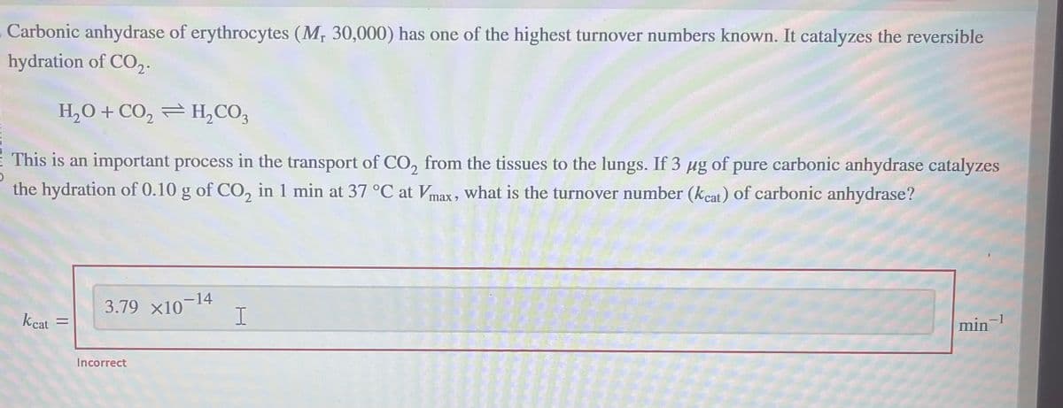 . Carbonic anhydrase of erythrocytes (M, 30,000) has one of the highest turnover numbers known. It catalyzes the reversible
hydration of CO₂.
H₂O + CO₂
H₂CO3
This is an important process in the transport of CO₂ from the tissues to the lungs. If 3 µg of pure carbonic anhydrase catalyzes
the hydration of 0.10 g of CO₂ in 1 min at 37 °C at Vmax, what is the turnover number (kcat) of carbonic anhydrase?
Keat
=
3.79 ×10-¹4
Incorrect
I
min