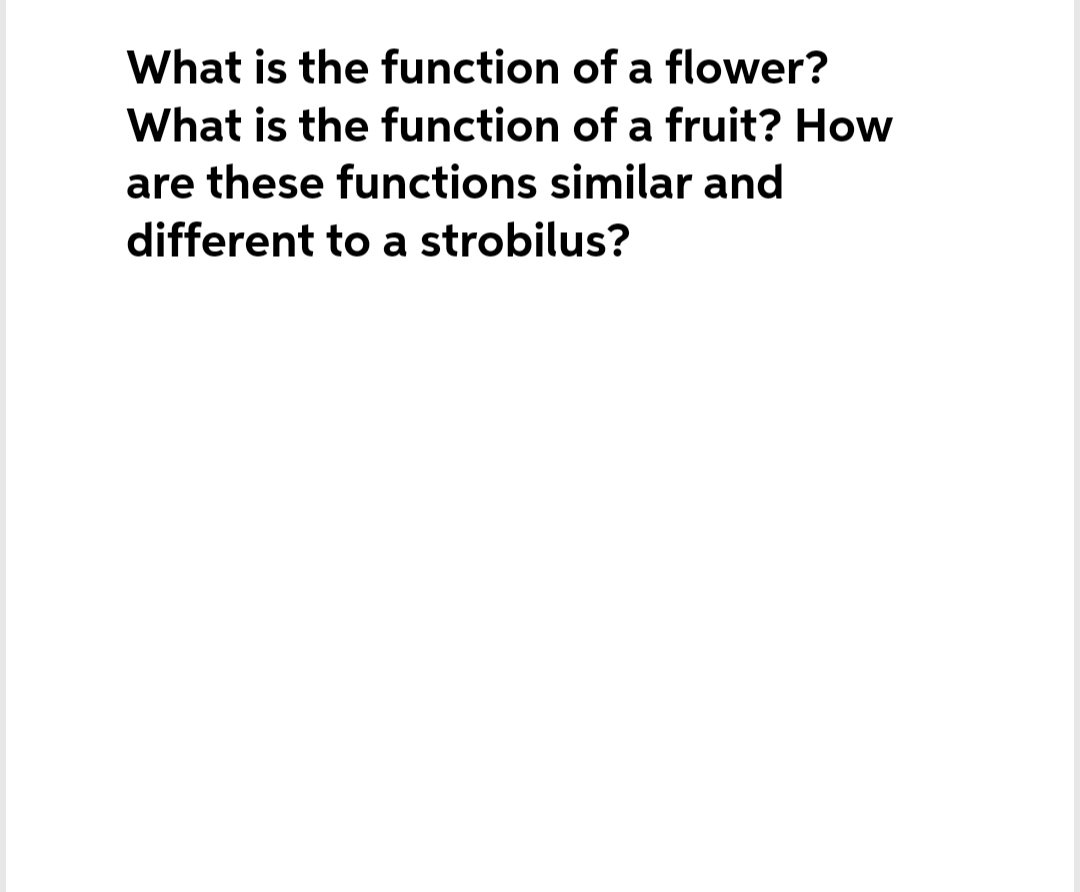 What is the function of a flower?
What is the function of a fruit? How
are these functions similar and
different to a strobilus?

