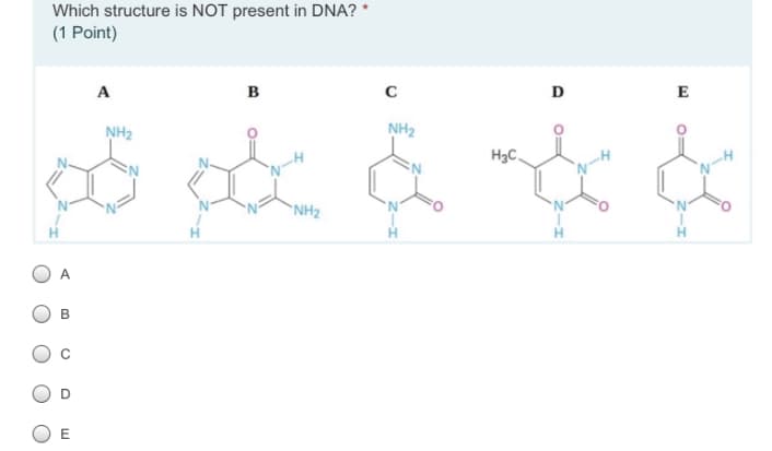 Which structure is NOT present in DNA? *
(1 Point)
A
в
D
E
NH2
NH2
H3C.
NH2
H
B.
