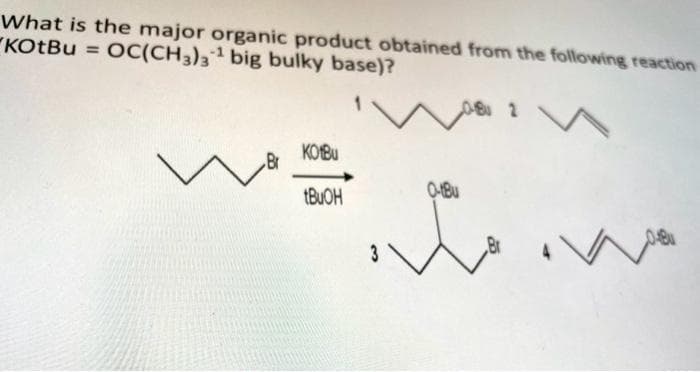 What is the major organic product obtained from the following reaction
KOtBu = OC(CH3)3¹ big bulky base)?
KOBU
tBuOH
3
08 1
L 2
0-tBu
4
We