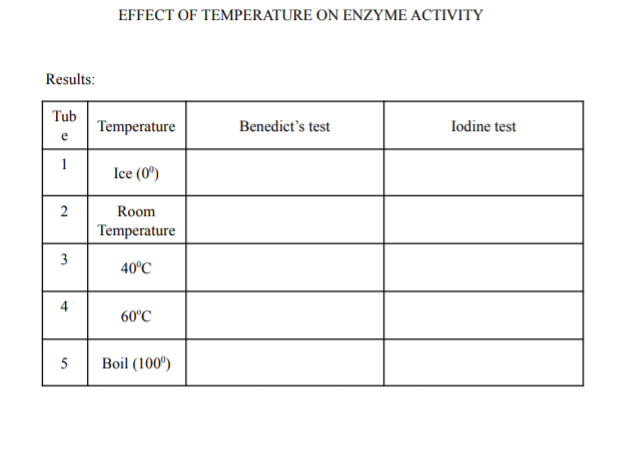 EFFECT OF TEMPERATURE ON ENZYME ACTIVITY
Results:
Tub
Temperature
Benedict's test
Iodine test
e
1
Ice (0º)
2
Room
Temperature
3
40°C
4
60°C
5
Boil (100°)
