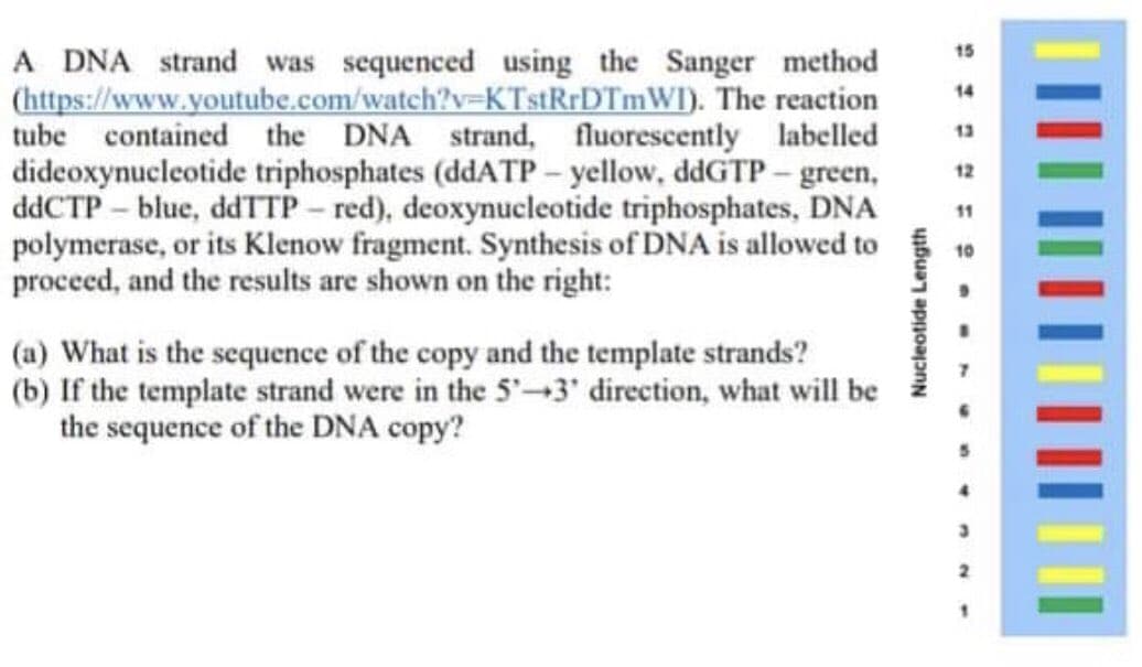 A DNA strand was sequenced using the Sanger method
(https://www.youtube.com/watch?v=KTstRrDTmWI). The reaction
tube contained the DNA strand, fluorescently labelled
dideoxynucleotide triphosphates (ddATP – yellow, ddGTP – green,
ddCTP – blue, ddTTP - red), deoxynucleotide triphosphates, DNA
polymerase, or its Klenow fragment. Synthesis of DNA is allowed to
proceed, and the results are shown on the right:
15
14
13
12
11
10
(a) What is the sequence of the copy and the template strands?
(b) If the template strand were in the 5'-3' direction, what will be
the sequence of the DNA copy?
Nucleotide Length

