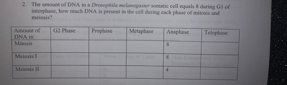 2. The amount of DNA in a Drosophila melanogaster somatic cell equals 8 during G1 of
interphase, how much DNA is present in the cell during each phase of mitosis and
meiosis?
Amount of
G2 Phase
Prophase
Metaphase
Anaphase
Telophase
DNA in:
Mitosis
8.
Meiosis I
8.
Meiosis II
4
