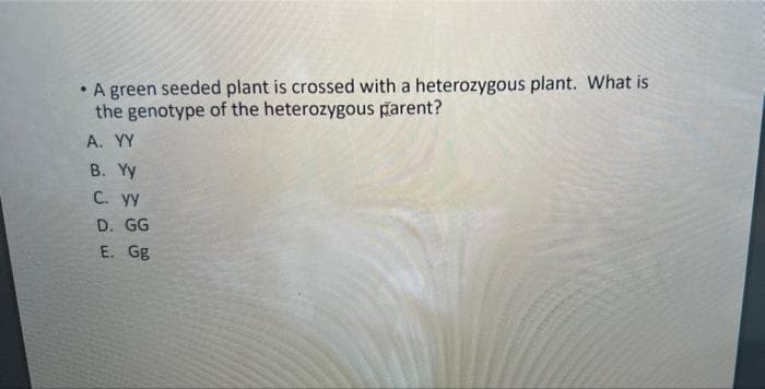 A green seeded plant is crossed with a heterozygous plant. What is
the genotype of the heterozygous parent?
A. YY
B. Yy
C. Vy
D. GG
E.