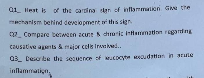 Q1 Heat is of the cardinal sign of inflammation. Give the
mechanism behind development of this sign.
Q2 Compare between acute & chronic inflammation regarding
causative agents & major cells involved..
Q3 Describe the sequence of leucocyte excudation in acute
inflammation.