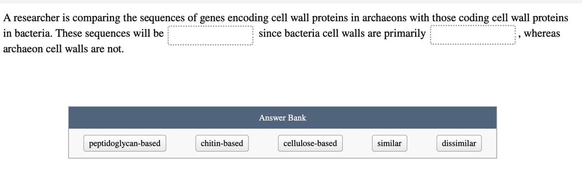 A researcher is comparing the sequences of genes encoding cell wall proteins in archaeons with those coding cell wall proteins
in bacteria. These sequences will be
since bacteria cell walls are primarily
whereas
archaeon cell walls are not.
peptidoglycan-based
chitin-based
Answer Bank
cellulose-based
similar
dissimilar
