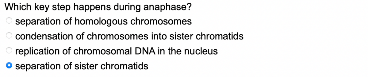 Which key step happens during anaphase?
separation of homologous chromosomes
condensation
of chromosomes into sister chromatids
replication of chromosomal DNA in the nucleus
separation of sister chromatids