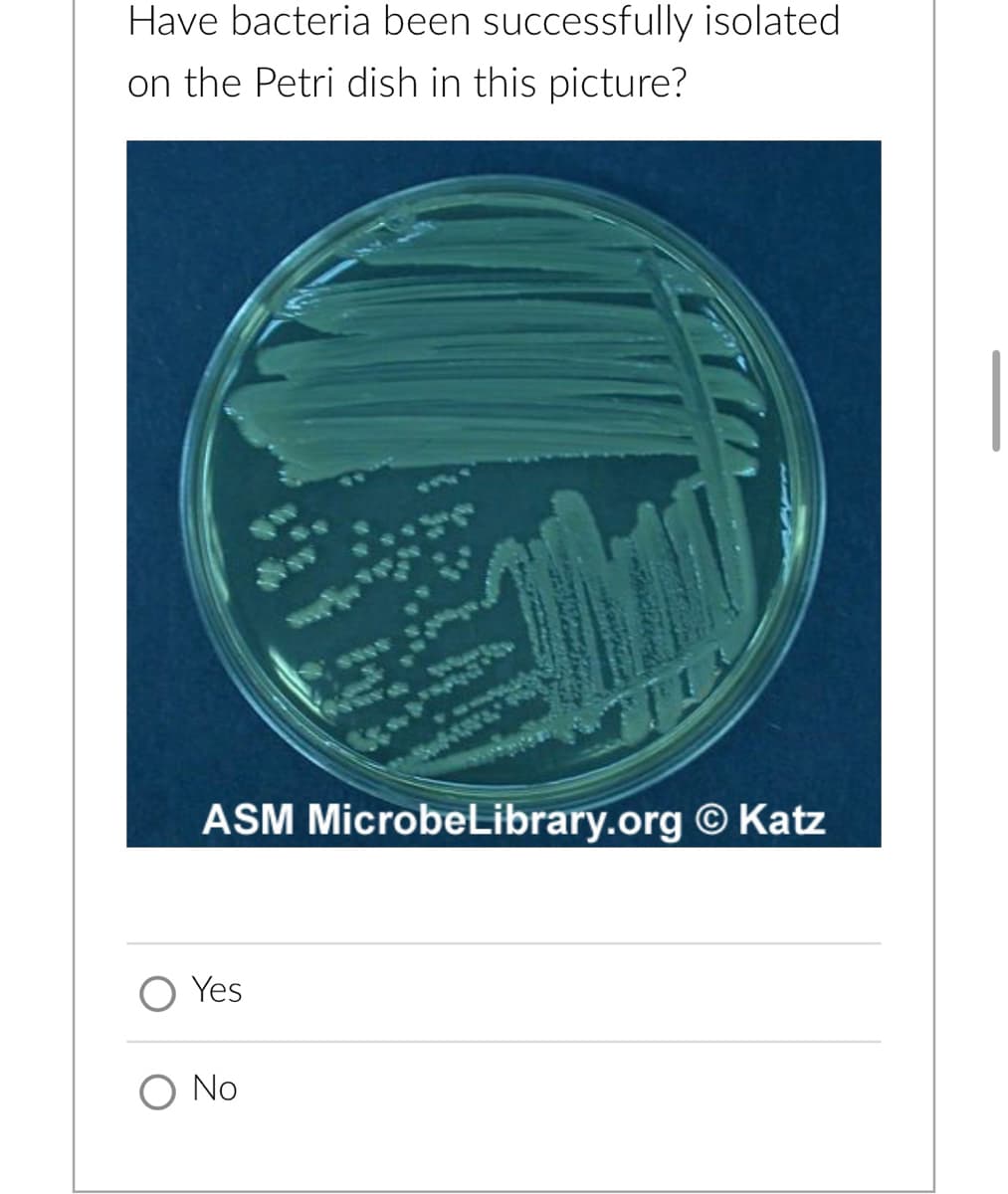 Have bacteria been successfully isolated
on the Petri dish in this picture?
ASM MicrobeLibrary.org © Katz
Yes
O No