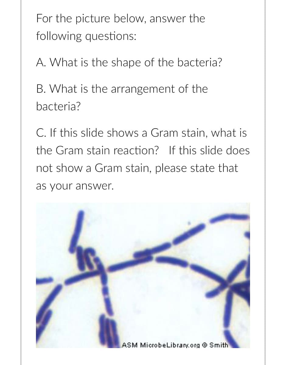 For the picture below, answer the
following questions:
A. What is the shape of the bacteria?
B. What is the arrangement of the
bacteria?
C. If this slide shows a Gram stain, what is
the Gram stain reaction? If this slide does
not show a Gram stain, please state that
as your answer.
ASM MicrobeLibrary.org Smith