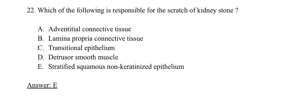 22. Which of the following is responsible for the scratch of kidney stone ?
A. Adventitial connective tissue
B. Lamina propria connective tissue
C. Transitional epithelium
D. Detrusor smooth muscle
E. Stratified squamous non-keratinized epithelium
Answer: E