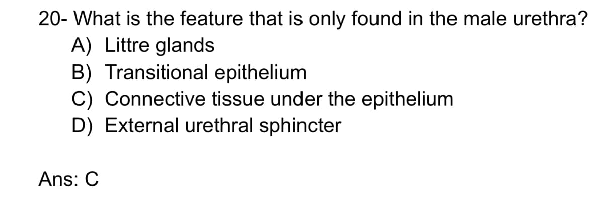 20- What is the feature that is only found in the male urethra?
A) Littre glands
B) Transitional epithelium
C) Connective tissue under the epithelium
D) External urethral sphincter
Ans: C