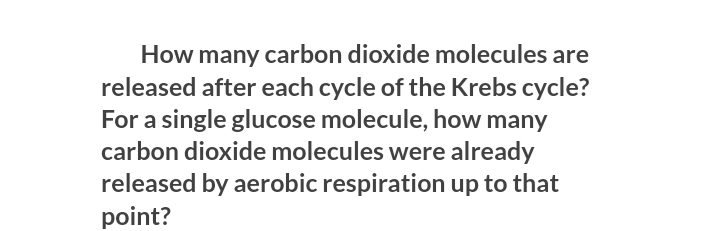 How many carbon dioxide molecules are
released after each cycle of the Krebs cycle?
For a single glucose molecule, how many
carbon dioxide molecules were already
released by aerobic respiration up to that
point?
