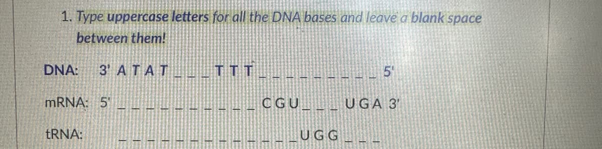 1. Type uppercase letters for all the DNA bases and leave a blank space
between them!
DNA: 3 ATAT_TTT
mRNA: 5'
tRNA:
T
1
1
15
1
4
E
1
32
7
T
1
#
25
4
1
I
T
1
CGU__UGA 3'
UGG
1
1
5
1