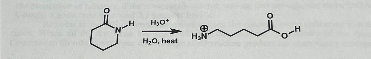 FO
&
H
H3O+
N
+
H₂O, heat
H3N
O
