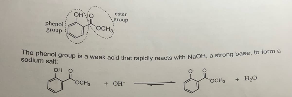 The phenol group is a weak acid that rapidly reacts with NaOH, a strong base, to form a
OH
ester
group
phenol
group
OCH3
sodium salt:
OH O
+ H2O
OCH3
OCH3
+ OH-
