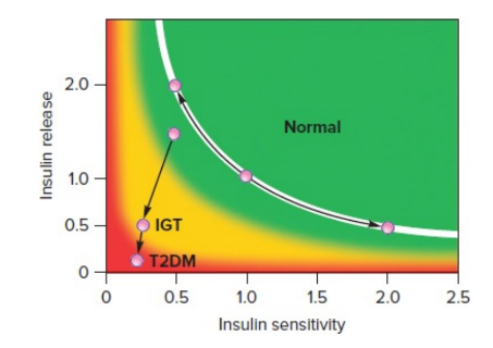 2.0 -
Normal
1.0
0.5 -
IGT
T2DM
0.5
1.0
1.5
2.0
2.5
Insulin sensitivity
Insulin release
