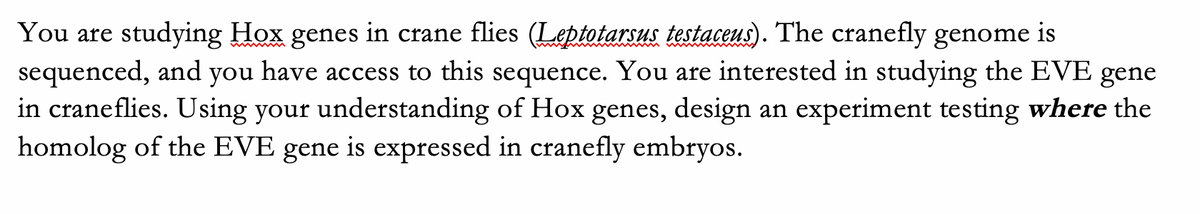 You are studying Hox genes in crane flies (Leptotarsus testaceus). The cranefly genome is
sequenced, and
in craneflies. Using your understanding of Hox genes, design an experiment testing where the
homolog of the EVE gene is expressed in cranefly embryos.
you
have
access to this sequence. You are interested in studying the EVE gene

