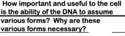 How important and useful to the cell
is the ability of the DNA to assume
various forms? Why are these
various forms necessary?
