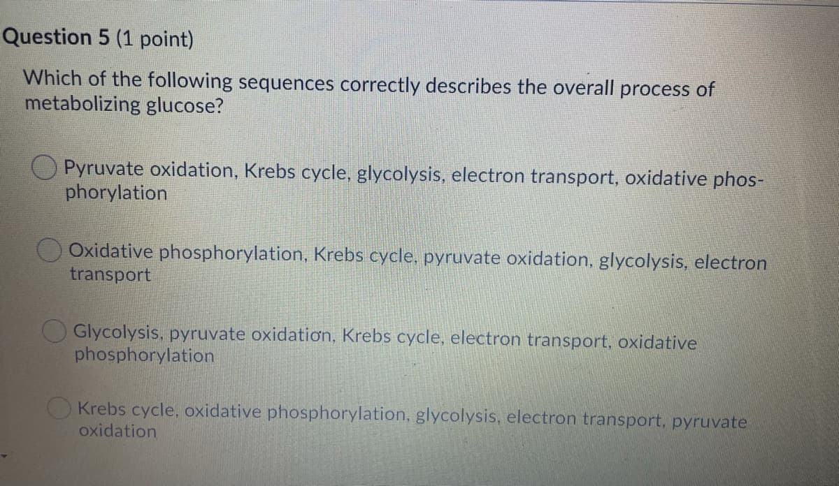 Question 5 (1 point)
Which of the following sequences correctly describes the overall process of
metabolizing glucose?
Pyruvate oxidation, Krebs cycle, glycolysis, electron transport, oxidative phos-
phorylation
Oxidative phosphorylation, Krebs cycle, pyruvate oxidation, glycolysis, electron
transport
Glycolysis, pyruvate oxidatioơn, Krebs cycle, electron transport, oxidative
phosphorylation
O Krebs cycle, oxidative phosphorylation, glycolysis, electron transport, pyruvate
oxidation
