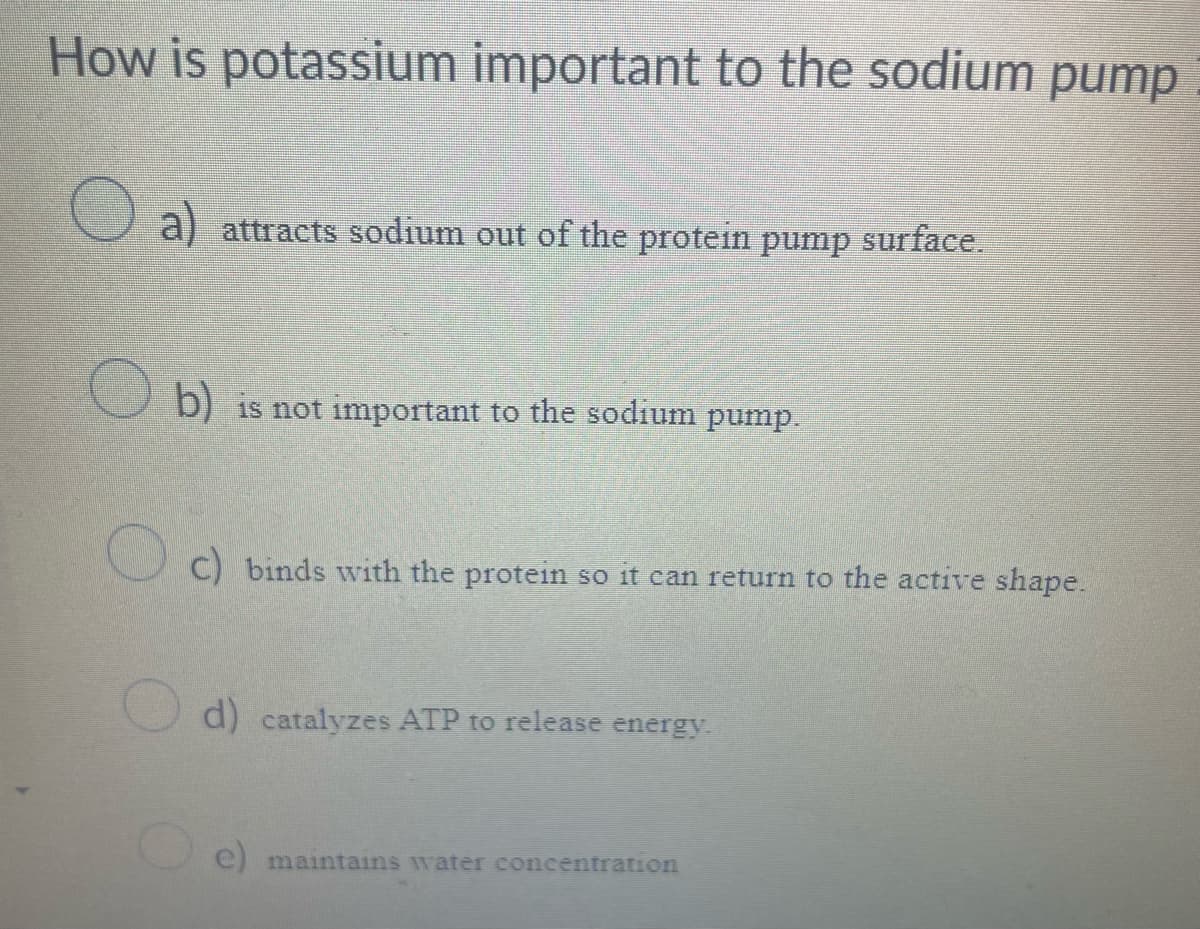 How is potassium important to the sodium pump
a) attracts sodium out of the protein pump surface.
b) is not important to the sodium pump.
c) binds with the protein so it can return to the active shape.
d) catalyzes ATP to release energy.
e) maintains water concentration