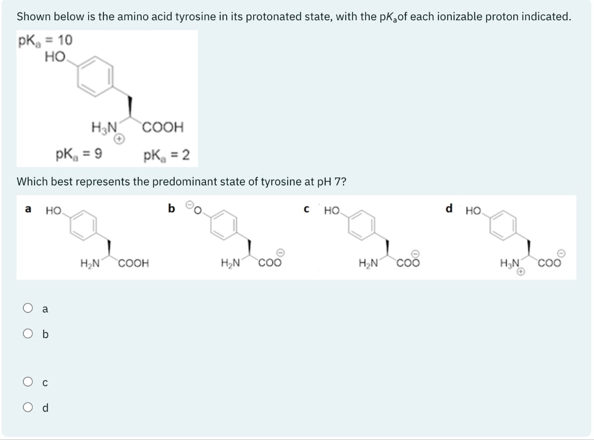Shown below is the amino acid tyrosine in its protonated state, with the pK₂of each ionizable proton indicated.
pK₂ = 10
HO
COOH
pk = 9
pK₂ = 2
Which best represents the predominant state of tyrosine at pH 7?
a HO.
O O
OO
a
b
U
H3N
P
H₂N COOH
b
H₂N COO
с
НО.
H₂N COO
d HO.
H₂N
COO