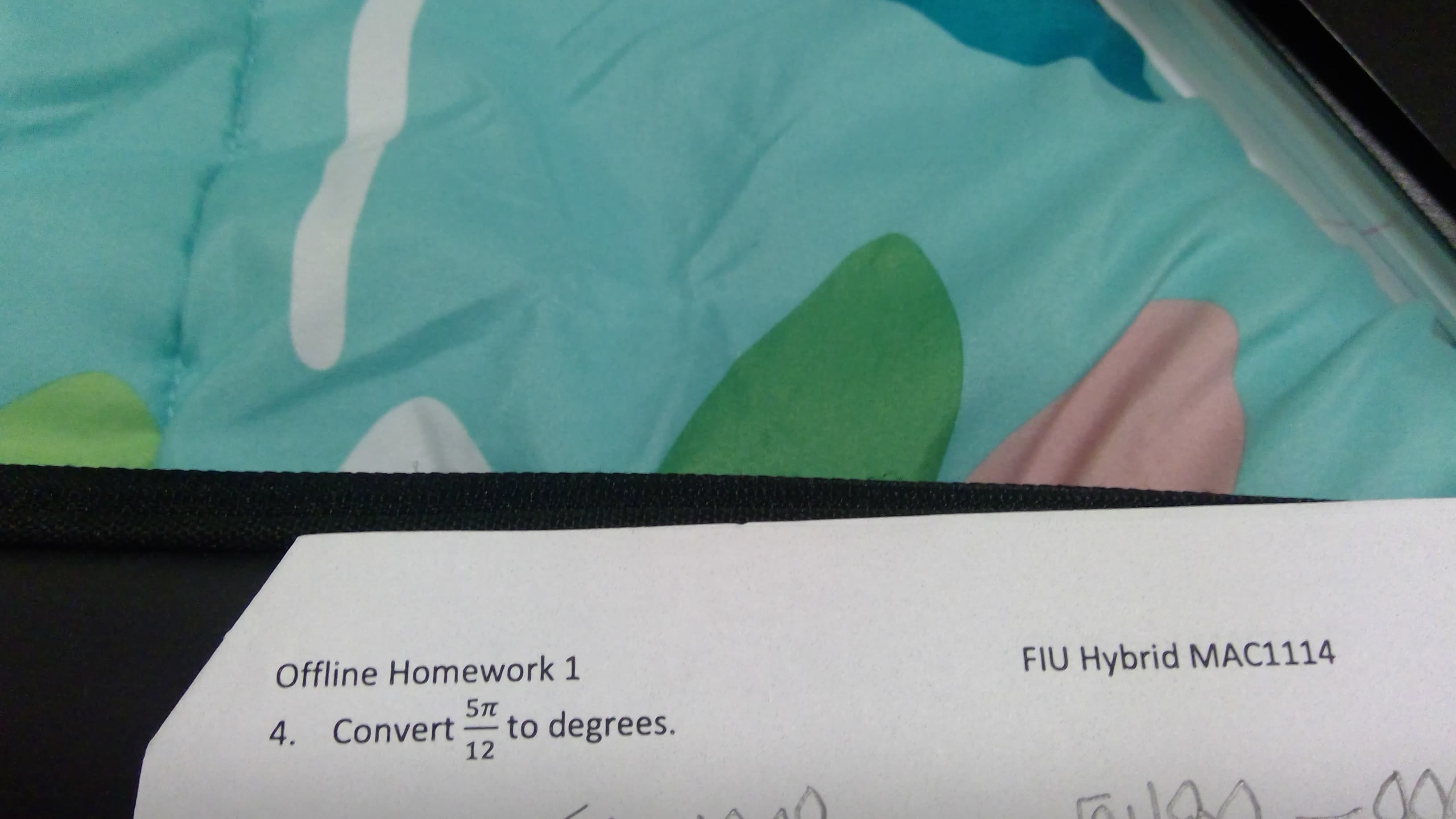 Offline Homework 1
FIU Hybrid MAC1114
5TT
to degrees.
12
4. Convert
