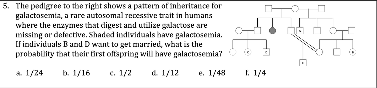 5. The pedigree to the right shows a pattern of inheritance for
galactosemia, a rare autosomal recessive trait in humans
where the enzymes that digest and utilize galactose are
missing or defective. Shaded individuals have galactosemia.
If individuals B and D want to get married, what is the
probability that their first offspring will have galactosemia?
A
D
в
E
а. 1/24
b. 1/16
с. 1/2
d. 1/12
е. 1/48
f. 1/4
