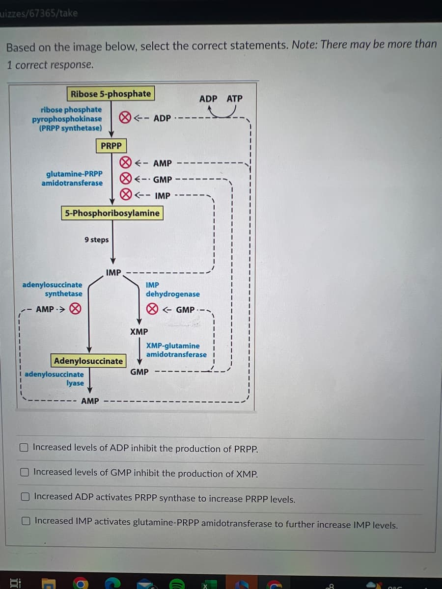 uizzes/67365/take
Based on the image below, select the correct statements. Note: There may be more than
1 correct response.
I
Ribose 5-phosphate
ribose phosphate
pyrophosphokinase
(PRPP synthetase)
glutamine-PRPP
amidotransferase
adenylosuccinate
synthetase
AMP >
5-Phosphoribosylamine
I adenylosuccinate
PRPP
lyase
9 steps
Adenylosuccinate
AMP
IMP
<-- ADP
- AMP
<-- GMP
<-- IMP
IMP
dehydrogenase
<- GMP -
XMP
ADP ATP
GMP
يمد
XMP-glutamine
amidotransferase
Increased levels of ADP inhibit the production of PRPP.
Increased levels of GMP inhibit the production of XMP.
O Increased ADP activates PRPP synthase to increase PRPP levels.
Increased IMP activates glutamine-PRPP amidotransferase to further increase IMP levels.
8
OBC