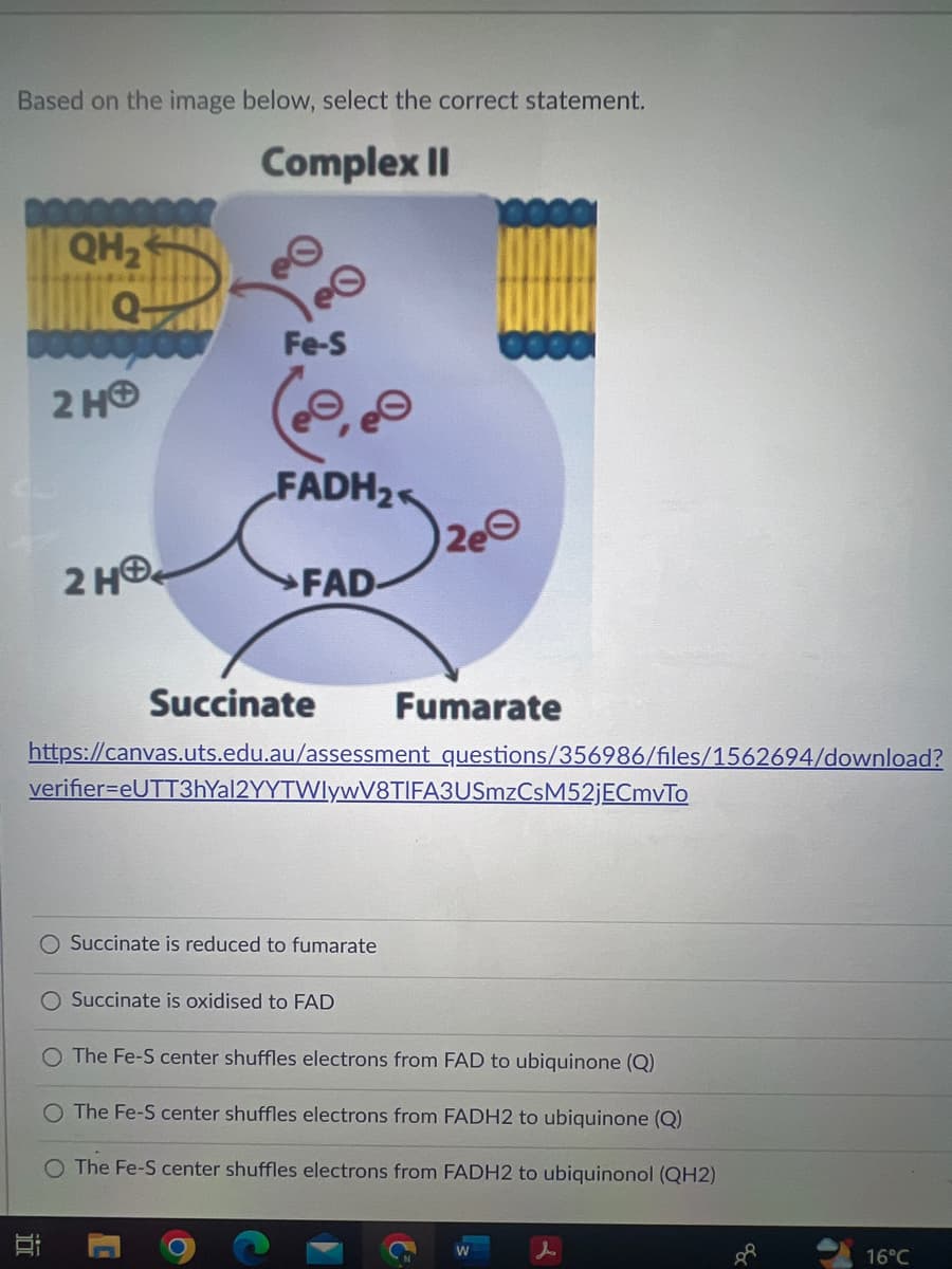 Based on the image below, select the correct statement.
Complex II
QH₂
Q-
10
2 HO
2 HO
Fe-S
(2.8
FADH₂
FAD-
Succinate Fumarate
https://canvas.uts.edu.au/assessment questions/356986/files/1562694/download?
2e
verifier-eUTT3hYal2YYTWlywV8TIFA3USmzCsM52jECmvTo
O Succinate is reduced to fumarate
O Succinate is oxidised to FAD
O The Fe-S center shuffles electrons from FAD to ubiquinone (Q)
O The Fe-S center shuffles electrons from FADH2 to ubiquinone (Q)
The Fe-S center shuffles electrons from FADH2 to ubiquinonol (QH2)
W
88
16°C