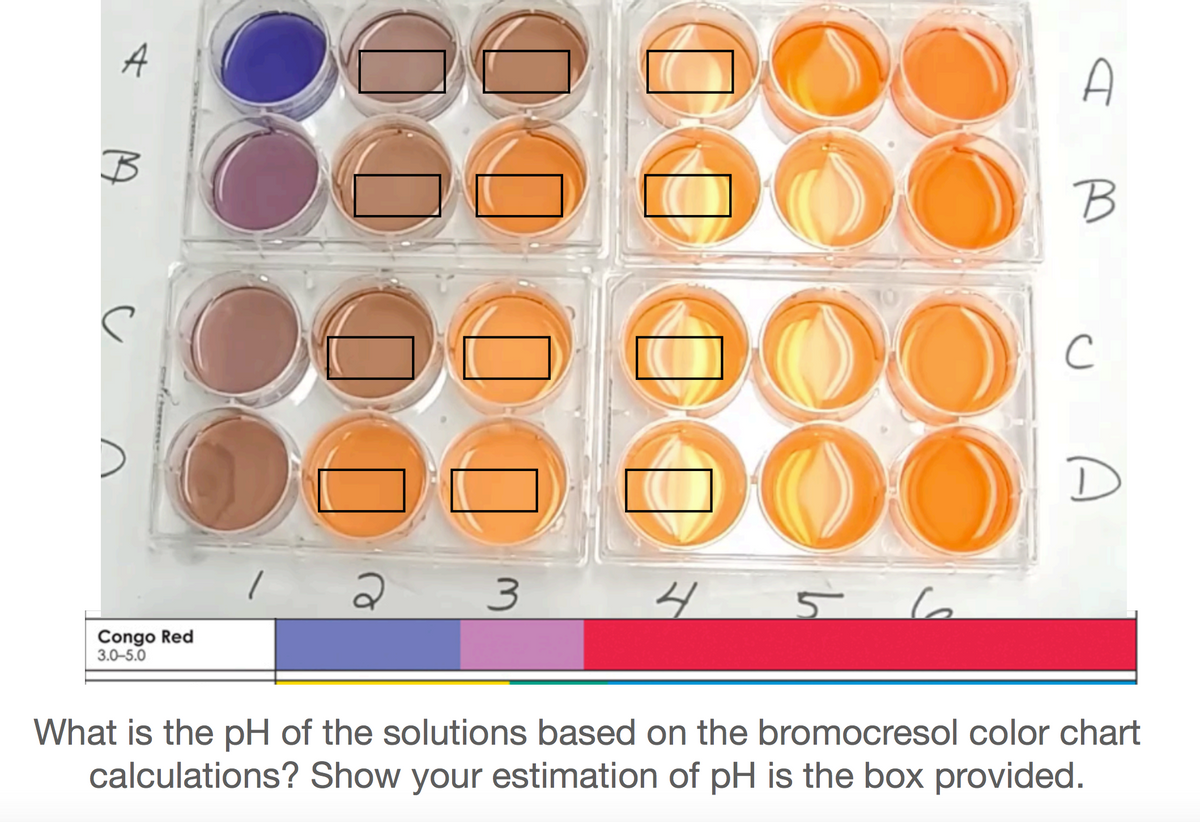 A
A
B
3
4
Congo Red
3.0-5.0
What is the pH of the solutions based on the bromocresol color chart
calculations? Show your estimation of pH is the box provided.
0000
