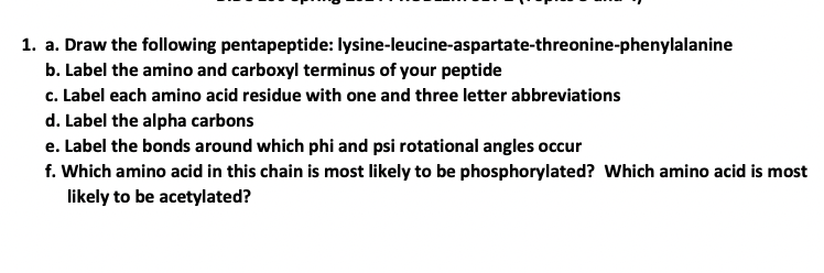 1. a. Draw the following pentapeptide:
lysine-leucine-aspartate-threonine-phenylalanine
b. Label the amino and carboxyl terminus of your peptide
c. Label each amino acid residue with one and three letter abbreviations
d. Label the alpha carbons
e. Label the bonds around which phi and psi rotational angles occur
f. Which amino acid in this chain is most likely to be phosphorylated? Which amino acid is most
likely to be acetylated?